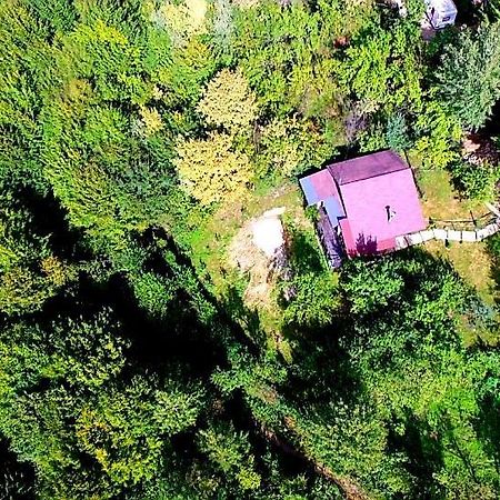 Mystically Wood House In The Forest Carjari Extérieur photo