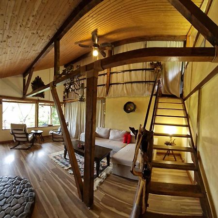 Mystically Wood House In The Forest Carjari Extérieur photo