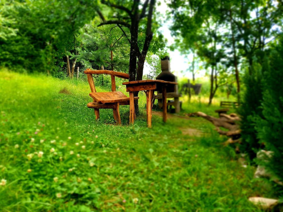 Mystically Wood House In The Forest Carjari Extérieur photo