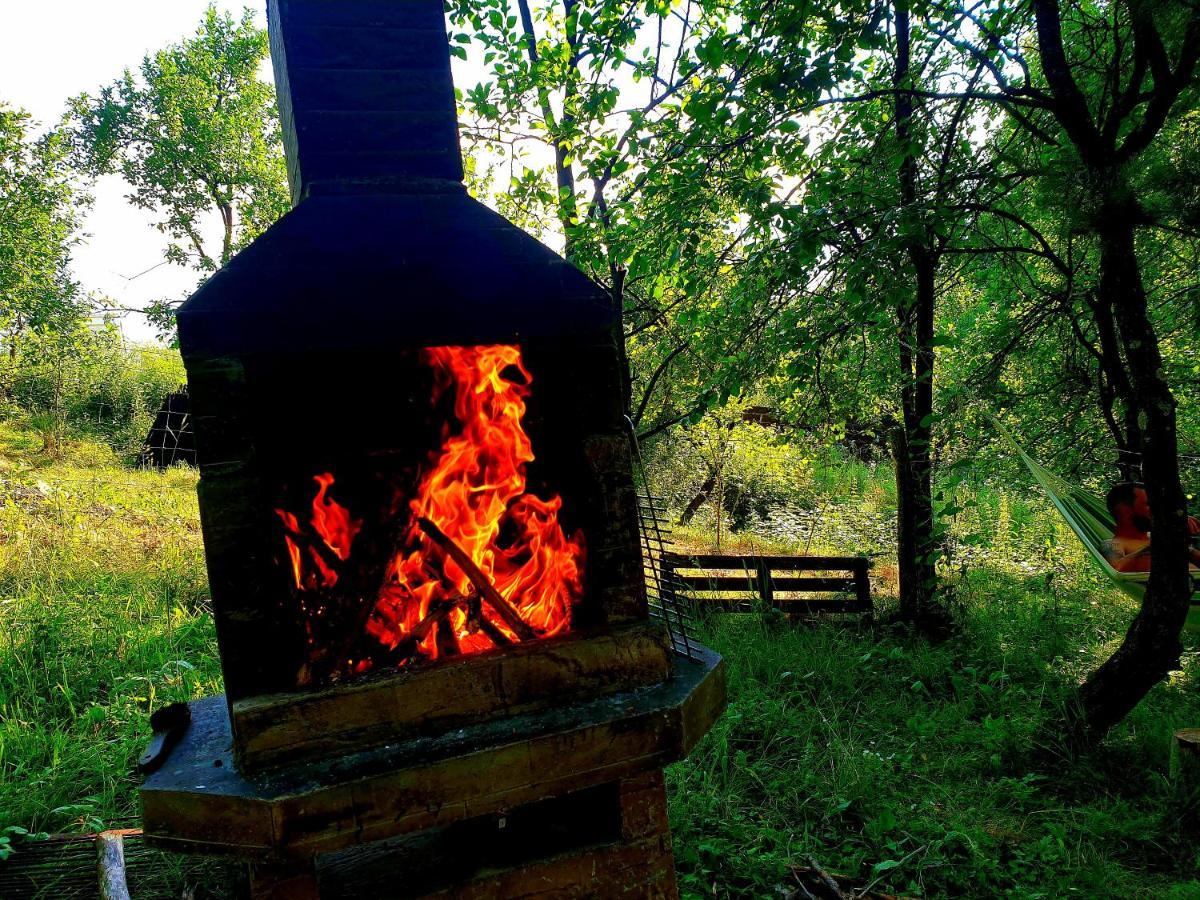 Mystically Wood House In The Forest Carjari Extérieur photo