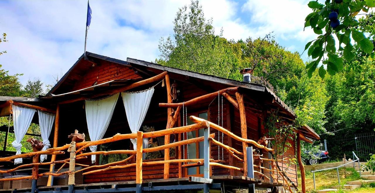 Mystically Wood House In The Forest Carjari Extérieur photo
